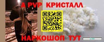 бошки Кингисепп