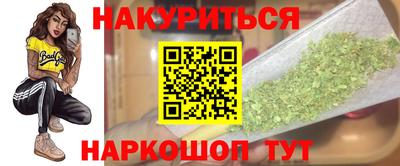 бошки Кингисепп