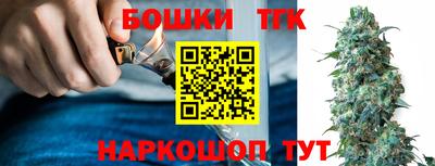 бошки Кингисепп