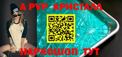 бошки Кингисепп