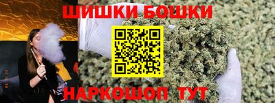бошки Кингисепп