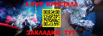 бошки Кингисепп