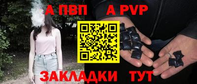 бошки Кингисепп